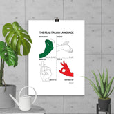 enhanced-matte-paper-poster-_cm_-30x40-cm-transparent-65636f5d94c94 - Broccoly®